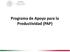 Programa de Apoyo para la Productividad (PAP)