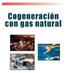 Cogeneración con gas natural