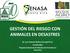 GESTIÓN DEL RIESGO CON ANIMALES EN DESASTRES. Dr. Luis Antonio Molina Carvajal M.Sc. Coordinador Programa Nacional de Manejo de Animales en Desastres