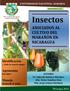 Insectos ASOCIADOS AL CULTIVO DEL MARAÑÓN EN NICARAGUA. Identificación. Agronomía. Manejo