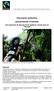 Documento explicativo para presentar a Fairtrade