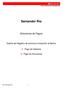 Santander Río. - Soluciones de Pagos - Diseño de Registro de archivos a transmitir al Banco. Pago de Haberes. Pago de Honorarios