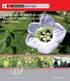 Catálogo florístico de plantas medicinales peruanas. Centro Nacional de Salud Intercultural (CENSI)