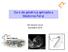 Curs de genètica aplicada a Medicina Fetal