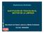 SUSTITUCIÓN DE TÓXICOS EN EL SECTOR DE LA LIMPIEZA