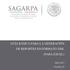 GUÍA BÁSICA PARA LA GENERACIÓN DE REPORTES EN FORMATO XML (PARA EXCEL)