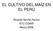 EL CULTIVO DEL MAÍZ EN EL PERÚ. Ricardo Sevilla Panizo STC-CGIAR Marzo,2008