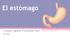 El estómago. Lozada Aguilar Fernanda Itzel 5ºA2