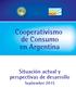 Cooperativismo de Consumo en Argentina. Situación actual y perspectivas de desarrollo