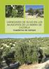 VARIEDADES DE OLIVO EN LOS MUNICIPIOS DE LA SIERRA DE CAZORLA Cuaderno de Campo
