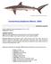 Carcharhinus falciformis (Bibron, 1839)