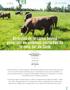 Atributos de la carne bovina generada en sistemas pastoriles de la zona sur de Chile