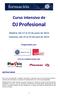 Curso intensivo de. DJ Profesional. Madrid, del 17 al 22 de junio de 2013 Valencia, del 15 al 19 de julio de 2013. Organizado por: