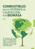 COMBUSTIBLES EN LOS SISTEMAS DE