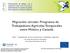 Migración circular: Programa de Trabajadores Agrícolas Temporales entre México y Canadá.