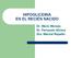 HIPOGLICEMIA EN EL RECIÉN NACIDO. Dr. Mario Moraes Dr. Fernando Silvera Dra. Marizel Repetto