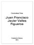 Currículum Vitae. Juan Francisco Javier Valles Figueroa