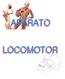 APARATO LOCOMOTOR. El aparato locomotor está compuesto por huesos, articulaciones y músculos, tiene la misión de