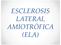 Esclerosis = muerte Lateral = lado (de la médula) A = ausencia de mio = músculo trófica = movimiento La ELA es una enfermedad neurológica