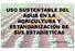 USO SUSTENTABLE DEL AGUA EN LA AGRICULTURA Y ESTANDARIZACIÓN DE SUS ESTADÍSTICAS. Jorge Colchero García