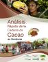 Análisis. Rápido de la Cadena de. Cacao en Honduras SAG