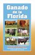 Gracias por su interés en toros, vaquillas, vacas de cría y la genética de Florida en el ganado de pie de cría que tiene el propósito de mejorar y