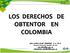 LOS DERECHOS DE OBTENTOR EN COLOMBIA