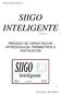 SIIGO INTELIGENTE PROCESO DE CAPACITACION INTRODUCCION, PARAMETROS E INSTALACIÓN. Versión 2.5. SIIGO Informática y Gestión S.A.