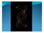 El cuerpo humano está formado por un conjunto de células y dentro de ellas se encuentra el ADN (Acido Desoxirribonucleico).