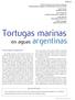Tortugas marinas. en aguas argentinas. Unos reptiles singulares ARTÍCULO