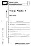 Trabajo Práctico 4. Marco Teórico. Pañeda Alvarez, Alberto. 0073610 panedaalberto@gmail.com ----------------- Seminario de Integración I