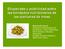 Etiquetado y publicidad sobre las bondades nutricionales de las aceitunas de mesa