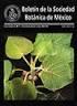 Boletín de la Sociedad Botánica de México ISSN: 0366-2128 victoria.sosa@inecol.edu.mx Sociedad Botánica de México México