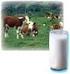 La leche y los productos lácteos deben ser pasteurizados con las fechas de la venta - por de 9 días o ultra- pasteurizada con fechas de caducidad de