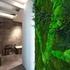 monamour natural design jardines verticales de diseño y paisajismo de interior