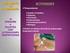 1. ACTIVIDADES REAIZADAS A PACIENTES CON HERIDAS Y ULCERAS POR 2. PROCEDIMIENTO PARA PACIENTES CON HERIDAS Y ULCERAS POR PRESION