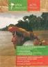 Sistema de Vigilancia de Salud Ambiental en la Región Amazónica