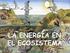 TEMA 3. EL FLUJO DE LA ENERGÍA EN LOS ECOSISTEMAS. TEMA 4. LA PRODUCCIÓN BIOLÓGICA.