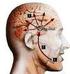 Cefalea. Las características clínicas de la cefalea no tienen el mismo valor, es así como: