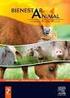 Transporte, bienestar animal y calidad de carne: una perspectiva regional de América