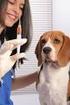 DOH Promueve la Vacunación de las mascotas en el día mundial de la rabia --La rabia se puede prevenir