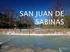 San Juan de Sabinas. Escudo aprobado por el Congreso del Estado el 18 de julio de 1980.