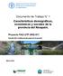 Documento de Trabajo N 1 Características demográficas, económicas y sociales de la provincia del Neuquén.