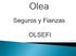 Olea Seguros y Fianzas (OLSEFI) somos una sociedad de especialistas en seguros y fianzas con experiencia de más de 37 años en el mercado.