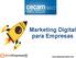Marketing Digital para Empresas. www.webempresa20.com