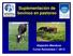 Suplementación de bovinos en pastoreo. Alejandro Mendoza Curso Rumiantes I - 2013