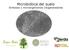 Microbiótica del suelo Simbiosis y microorganismos (re)generadores