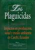 LOS PLAGUICIDAS. Impactos en producción, salud y medio ambiente en Carchi, Ecuador. Editores Charles Crissman, David Yanggen y Patricio Espinosa