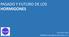 PASADO Y FUTURO DE LOS HORMIGONES. José Calvo López HORMISSA-Hormigones del Sureste, S. A.
