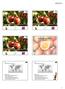 29/04/2013. Características de la Especie. Características de la Especie Flores Madera del año. Pentámeras, hermafroditas, blancas-rosadas